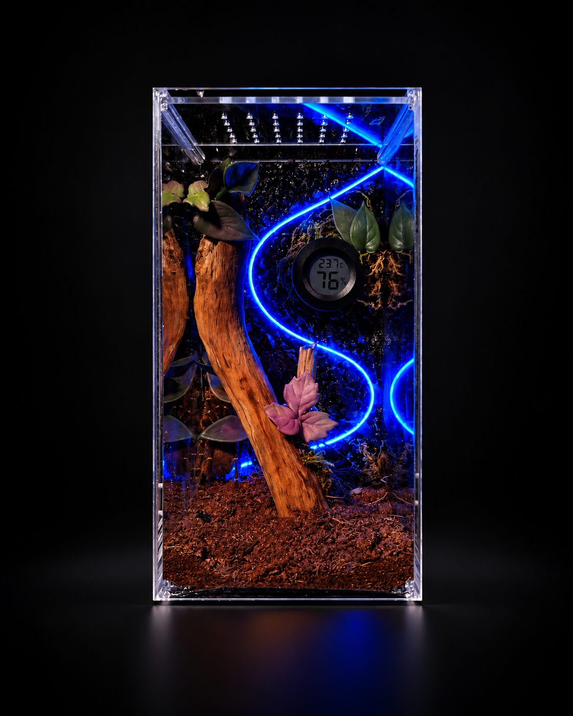 Terrario Vertical